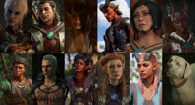 Baldur's Gate 3 NPCs shown in two rows of six characters each.